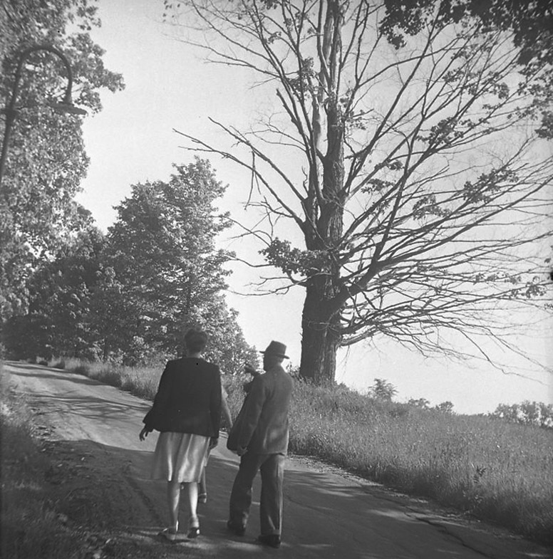 Julia, Lyonel and Jeanne Feininger gehen spazieren II