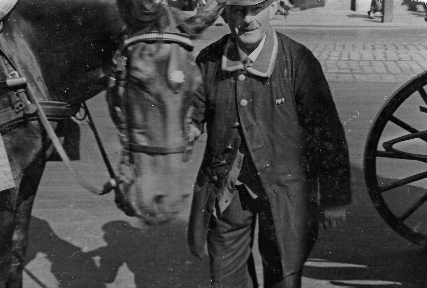 Packed Horse with a Guide II