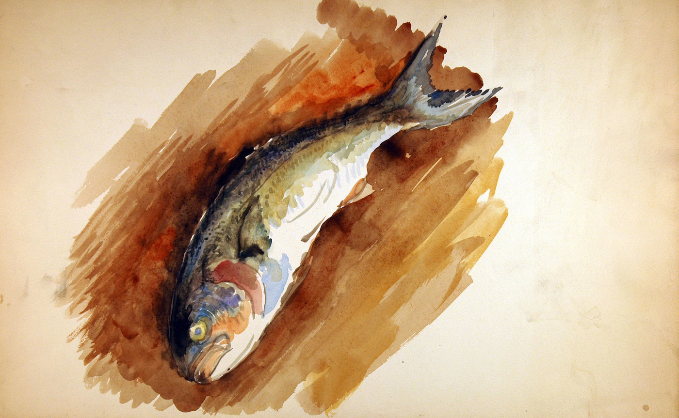 Fisch II
