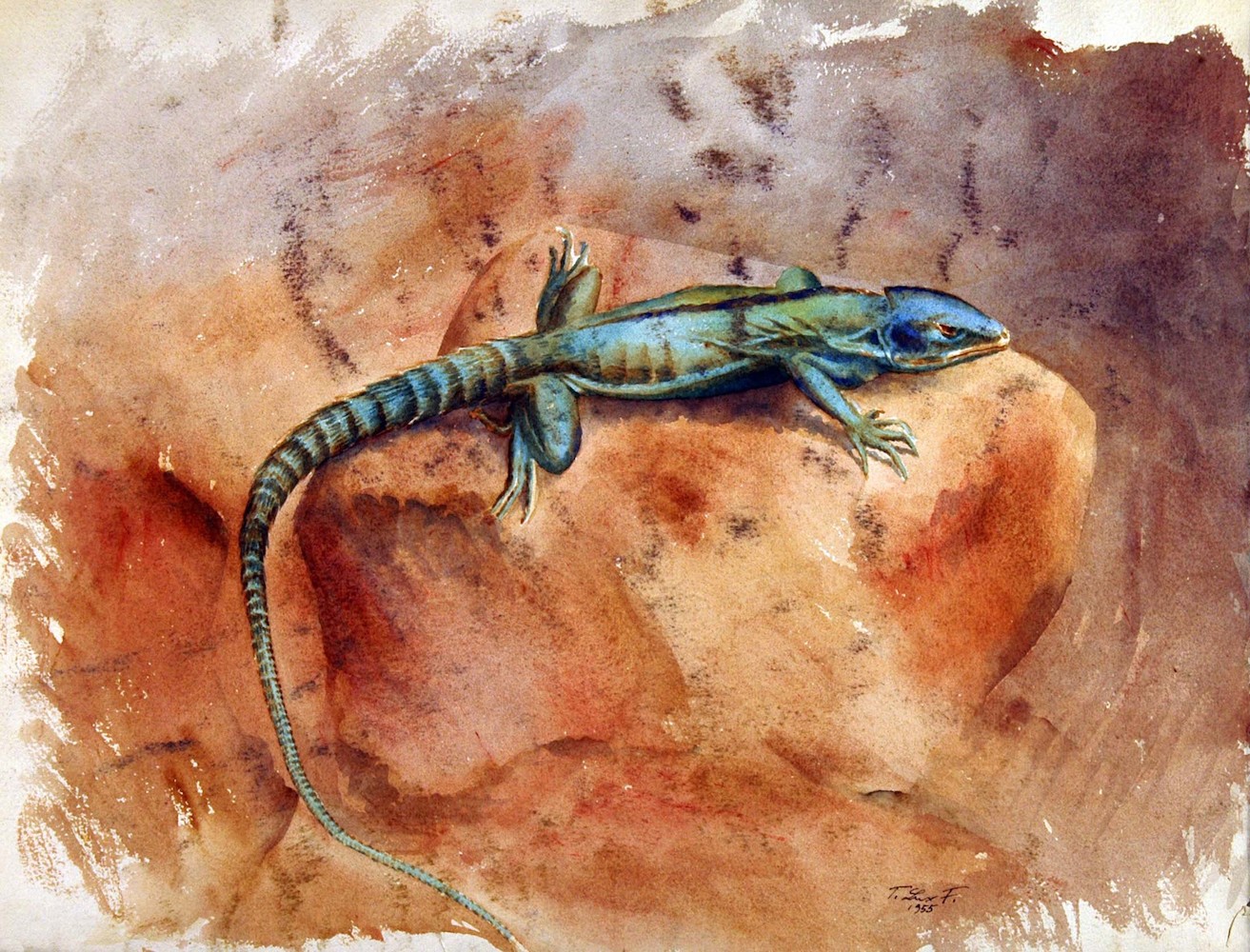 Reptiles. Lizard on a Rock I