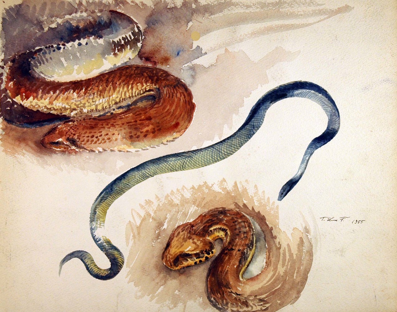 Reptilien. Schlangen, eine Dreiergruppe