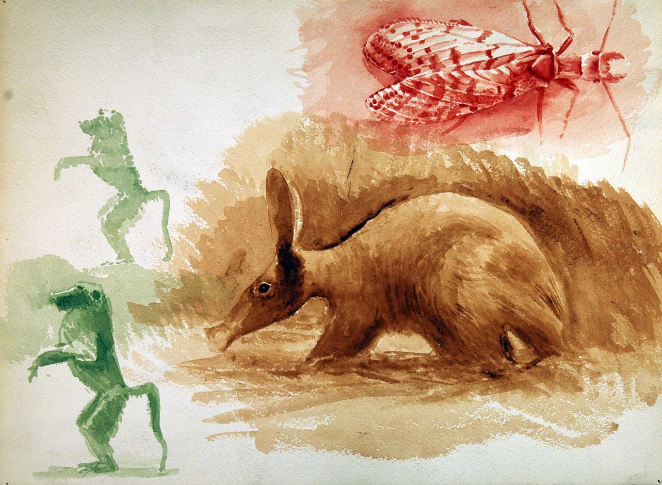 Two Baboons, one Aardvark and an Insect