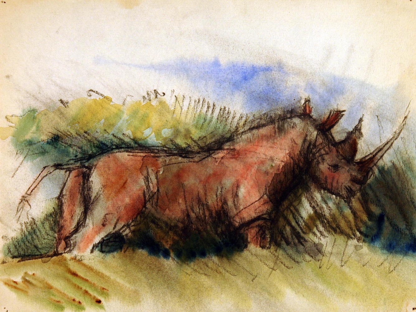 Ein Rhinozeros