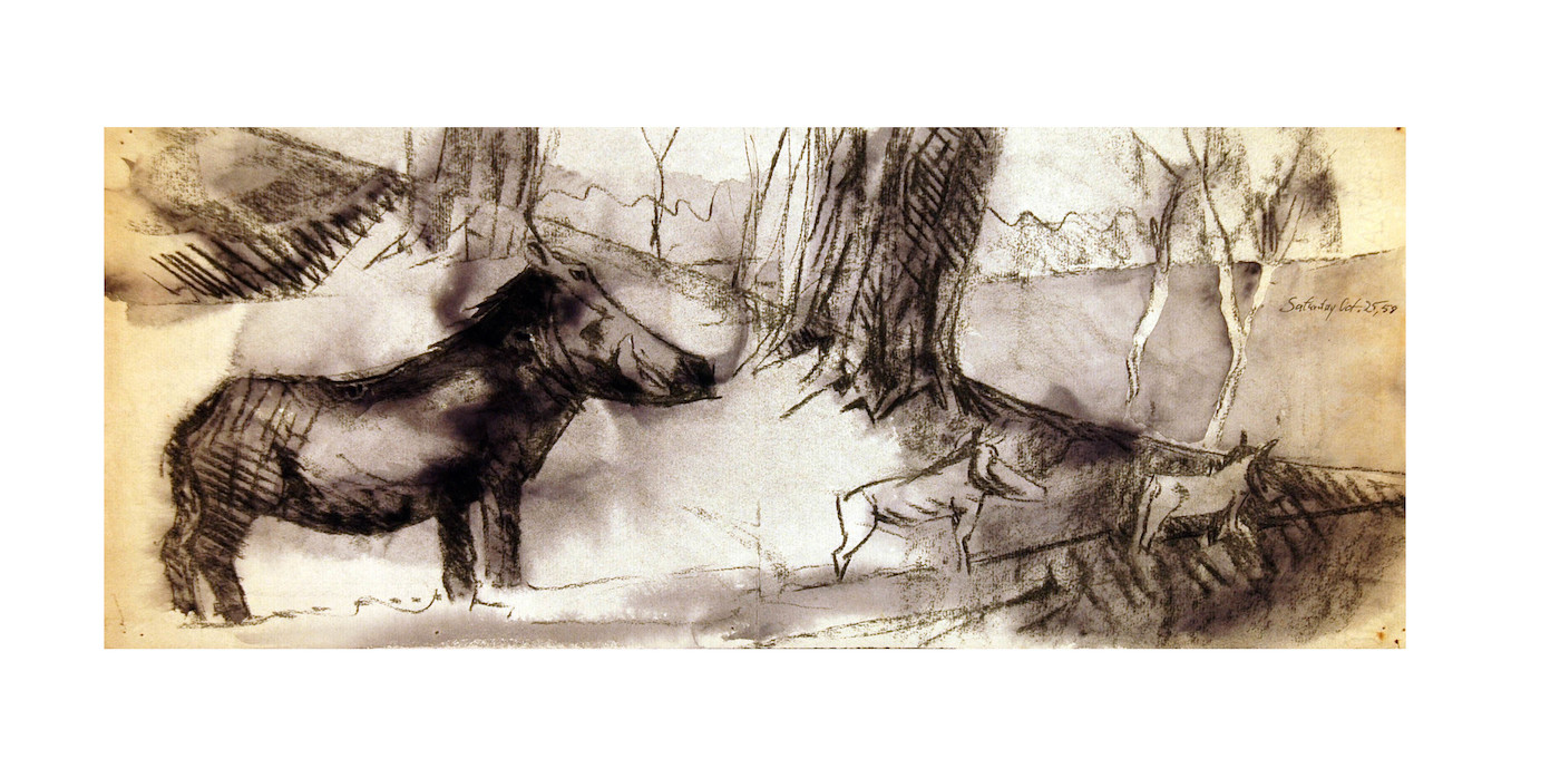 A Group of Wild Boars in the Forest