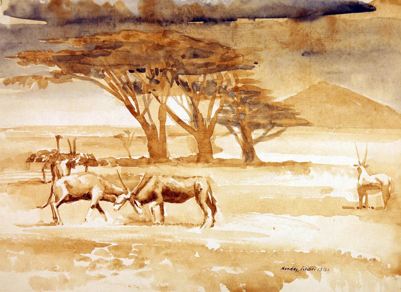 Antelopes Fighting