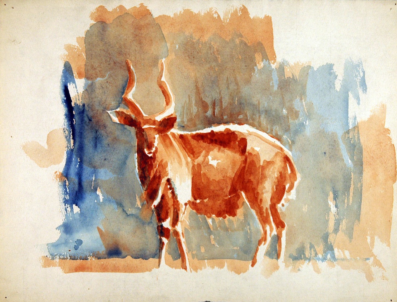 Antelope (Kudu)