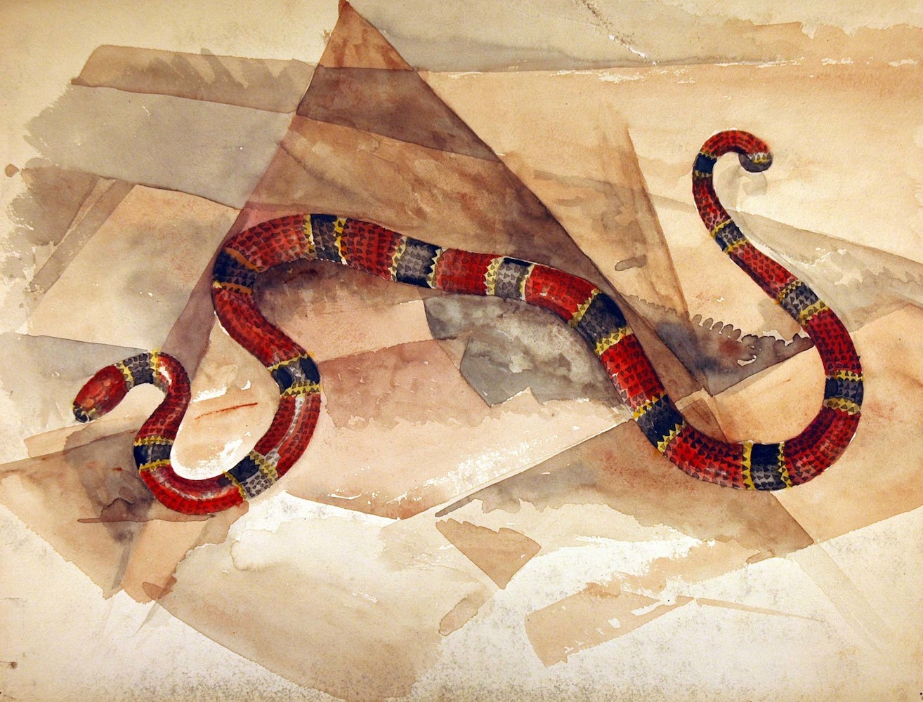 Reptilien. Schlange mit rot-schwarz-gelbem Muster