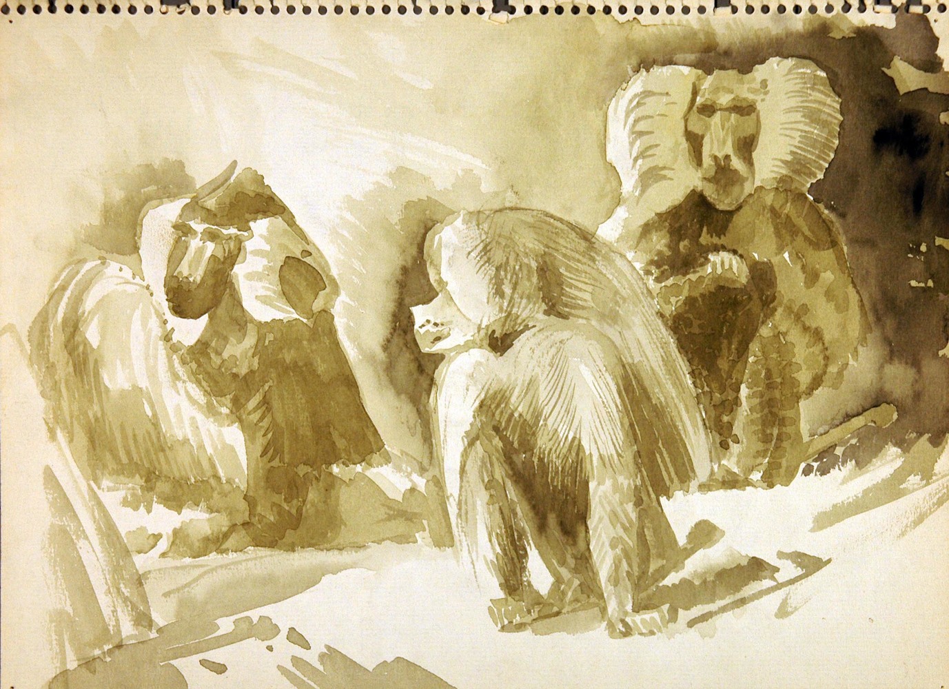 Baboons, a Group of Three
