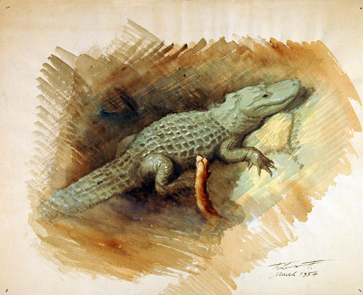 Ein Krokodil*