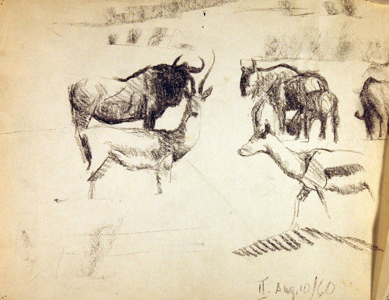 Antilopen und Büffel