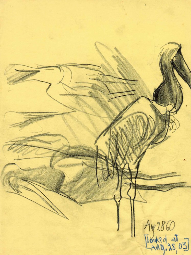 Study of a Crane