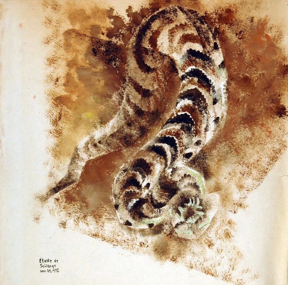 Reptilien. Étude de Schlange / Schlangenstudie*