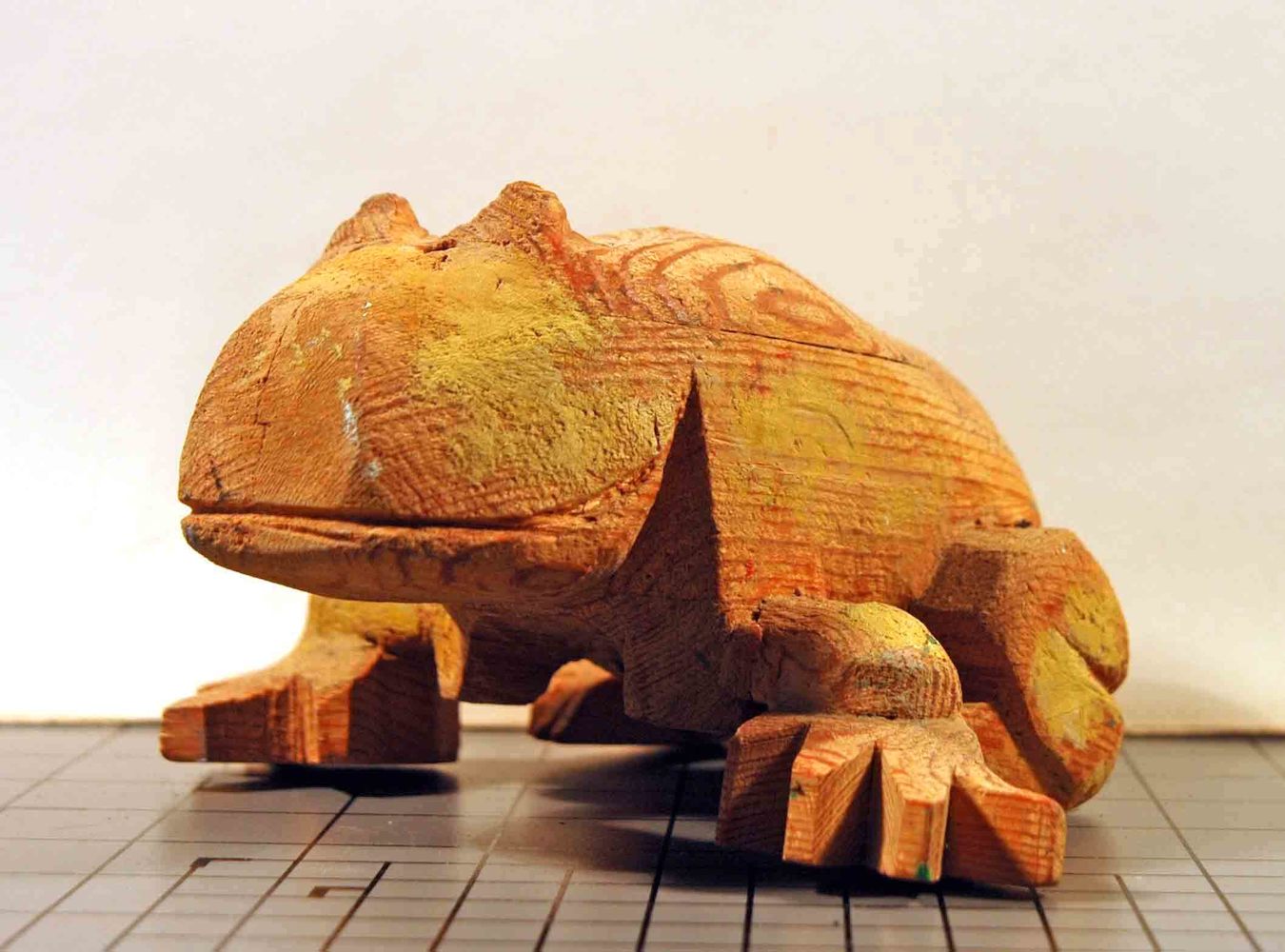 Ceratophrys - Larger Wood Colored Frog