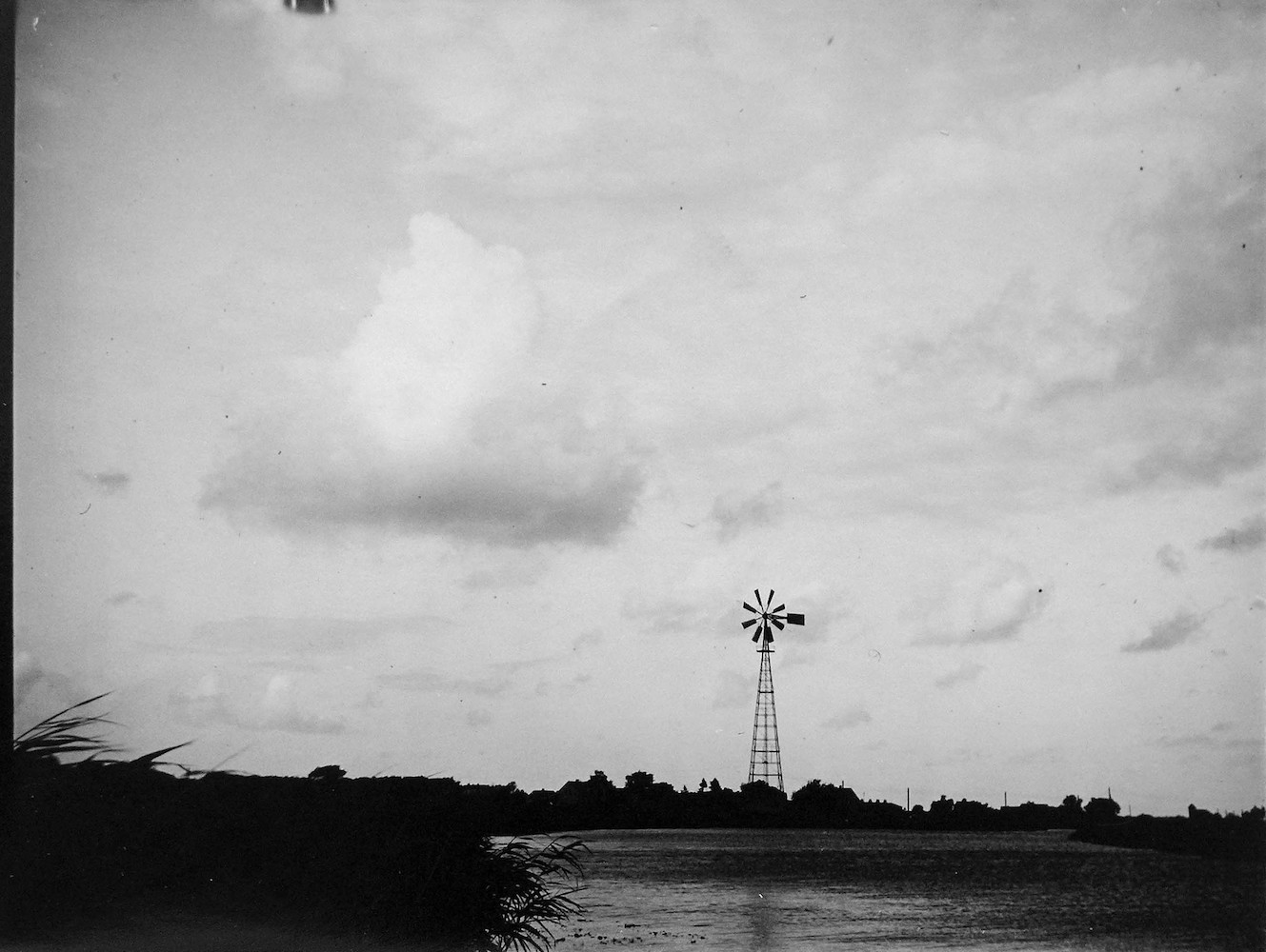 Windmill by Water (Rega delta)