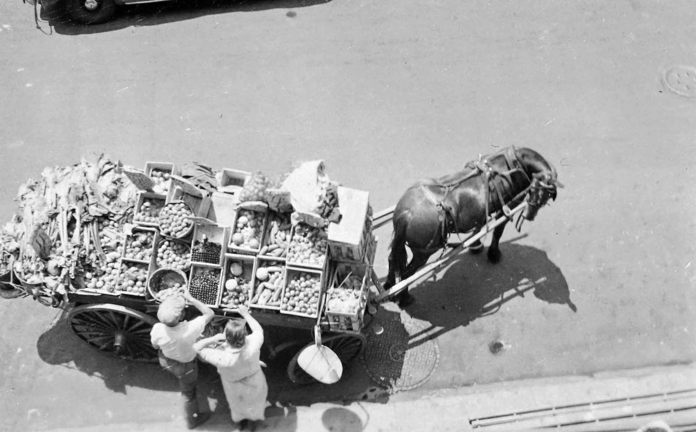 Apt. 511 East 85th St., View from my Window. Horse Drawn Vegetable Cart