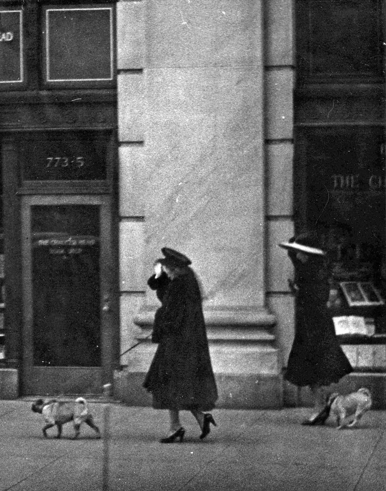 Straßenszene. Frauen mit Hunden im Gegenwind