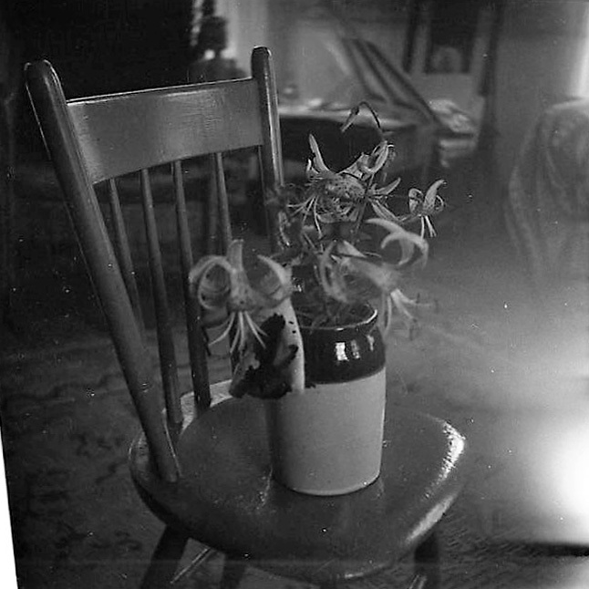 Stillleben mit Lilien im Topf auf einem Stuhl