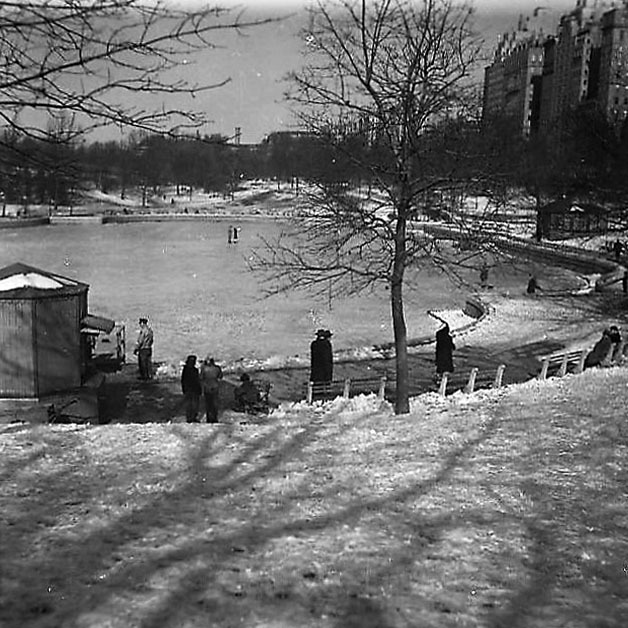 Central Park. Schneeschmelze III