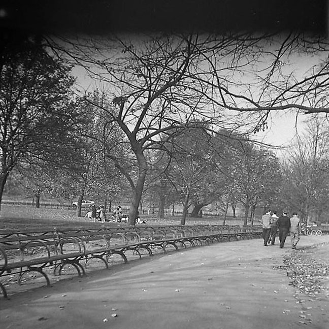 Central Park. Junge Frauen unter Bäumen und Spaziergänger