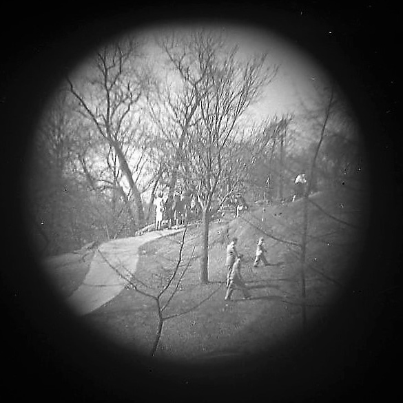 Central Park. Wedding Party III [Telescope view]