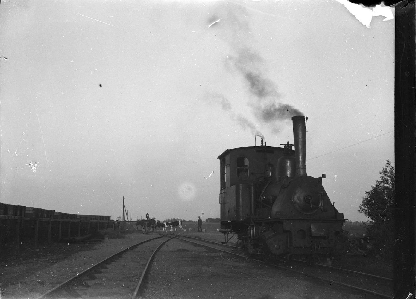Die Treptower Kleinbahn I. Lokomotive der Kleinbahn Treptow - Ost-Deep ab der Rega