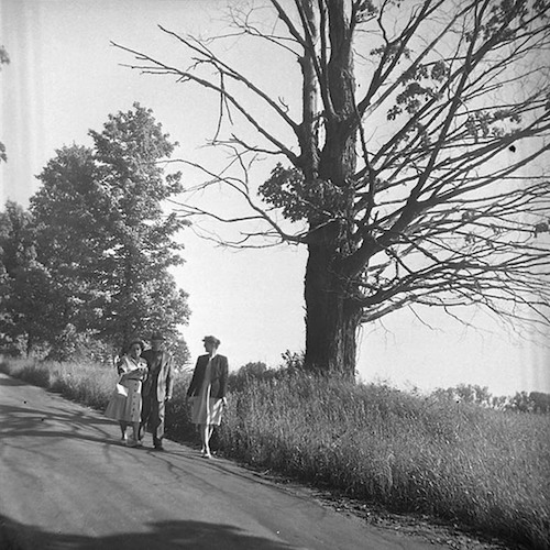Julia, Lyonel and Jeanne Feininger going for a Walk I