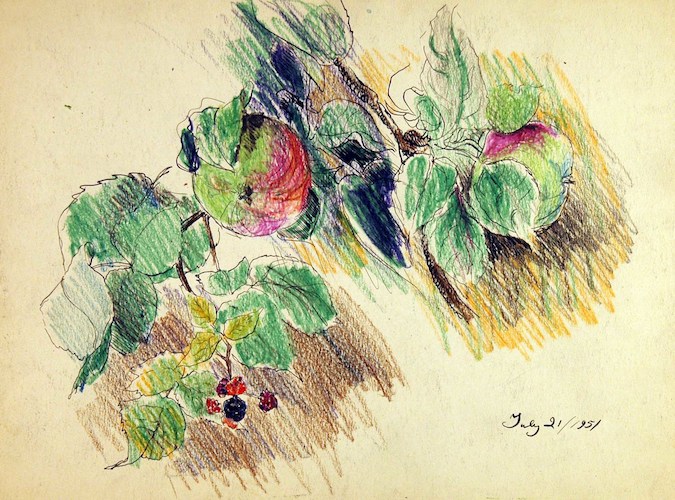 Fruits on the Vine