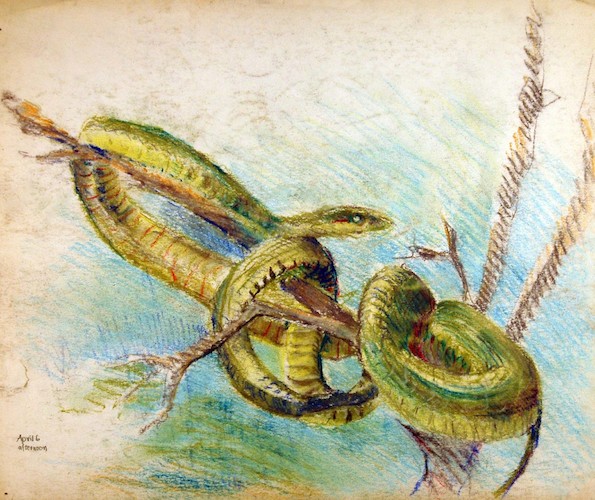 Reptilien. Schlange in einem Baum