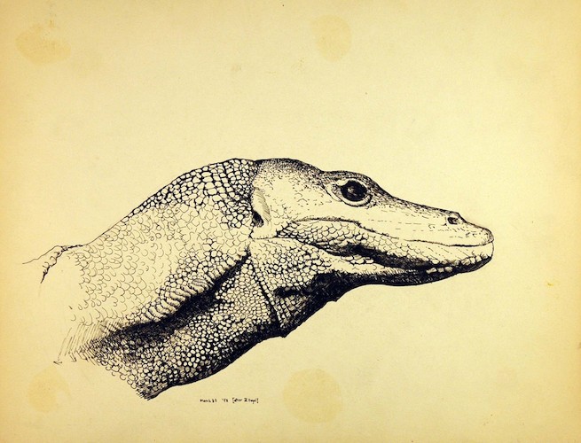 Reptiles. Lizard Head, after Z. Vogel