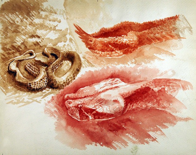 Reptilien. Drei Schlangen
