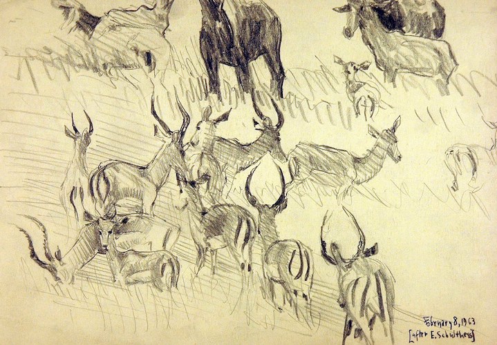Antelope Group