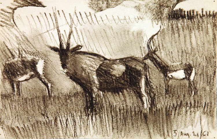 Oryx, eine Dreiergruppe