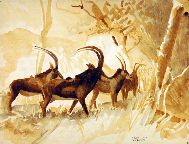 Antelope Group, after F. Bourlière