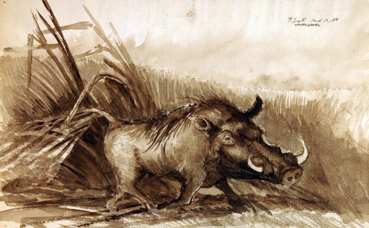 A Warthog*