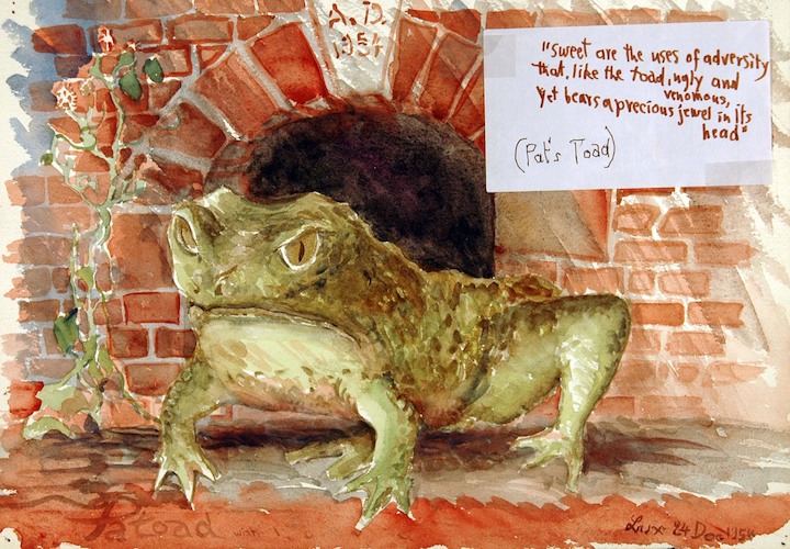 Pat's Toad