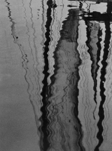 Reflection in the water