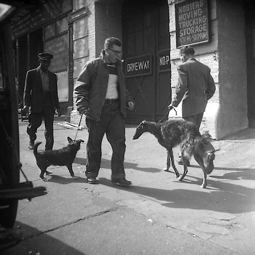 Man walking Russian Wolfhound