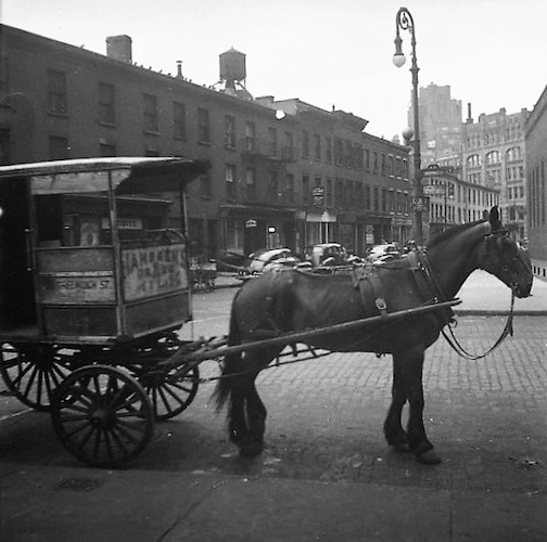 Horse Cart in Greenwich Ave.