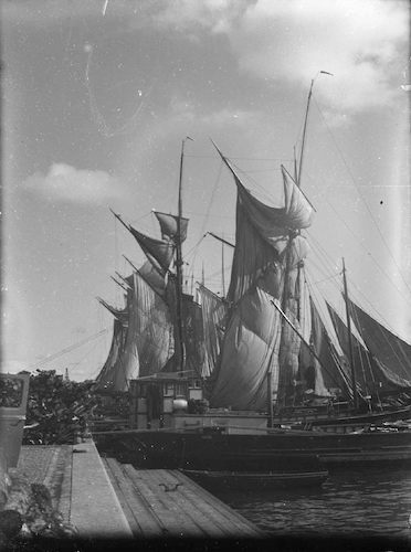 Schooners, Drying Sails III
