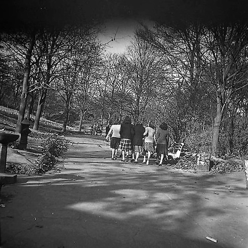 Central Park. Group of Girls rear View