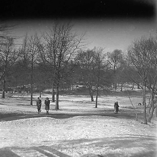 Central Park. Schneeschmelze II