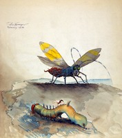 Insekten. Raupe und Libelle*